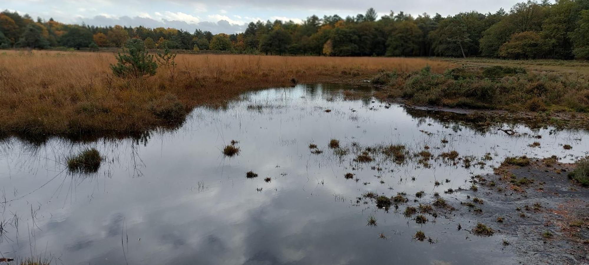 הוילה Wezuperbrug Mooi Drenthe מראה חיצוני תמונה
