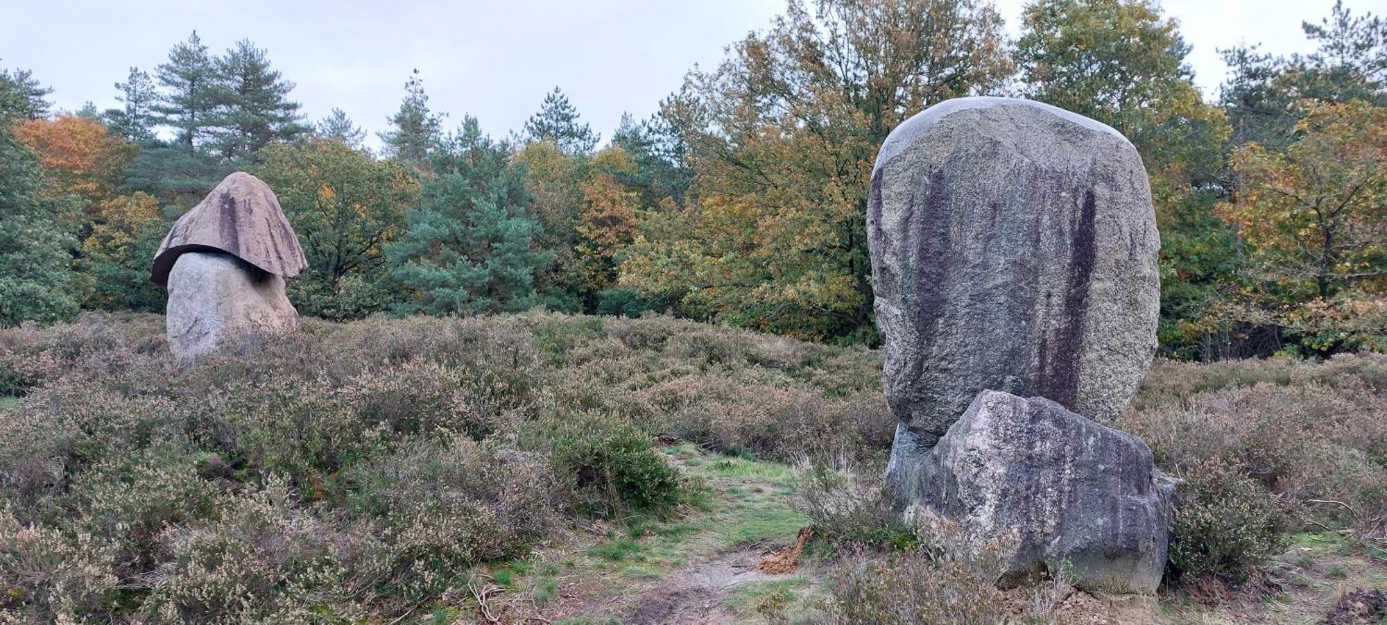הוילה Wezuperbrug Mooi Drenthe מראה חיצוני תמונה